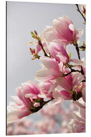 Magnettafel Magnolie