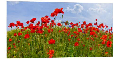 Quadro em PVC Poppies Panoramic