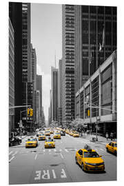 Foam board print New York Yellow Cabs