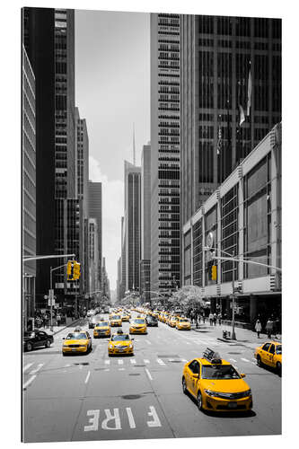 Gallery print New York Yellow Cabs