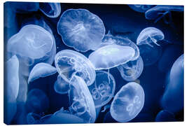 Stampa su tela  Floating Jellyfish - Michael Haußmann