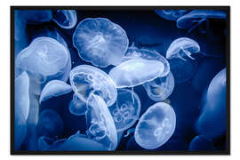 Gerahmter Kunstdruck Schwebende Quallen