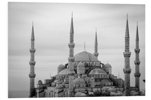 Cuadro de PVC the blue mosque in Istanbul / Turkey