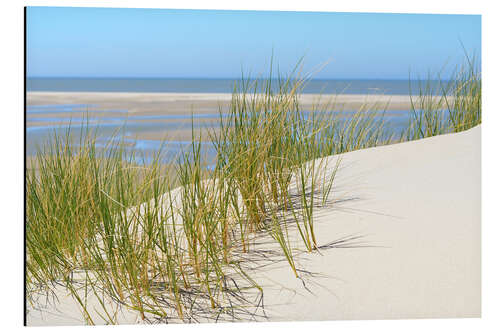 Cuadro de aluminio Dune in summer