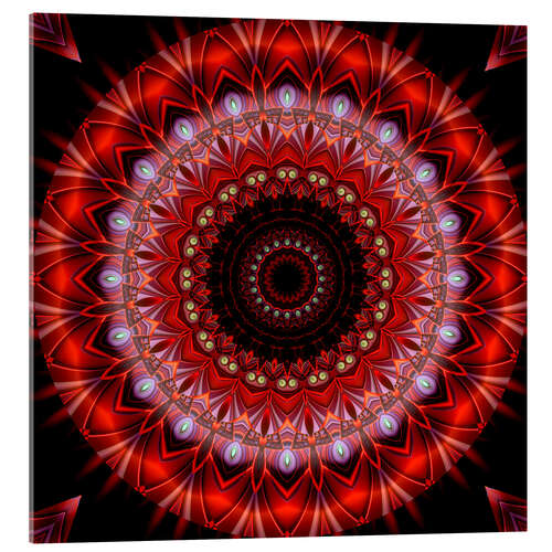 Acrylic print Mandala lust for life