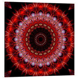 Cuadro de aluminio Mandala lust for life