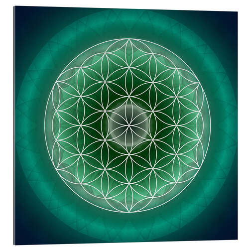 Gallery print Flower of Life 11