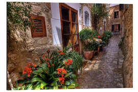 Magnettafel Mallorca Fornalutx Frühling