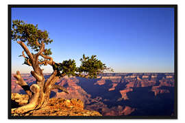 Gerahmter Kunstdruck Grand Canyon in Arizona