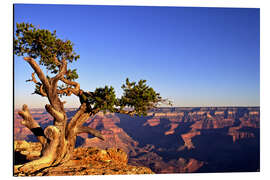 Magnettafel Grand Canyon in Arizona