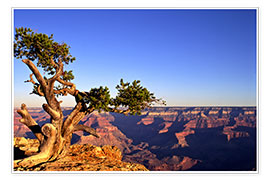 Wall print  Grand Canyon in Arizona - Paul Thompson