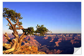 Sticker mural Grand Canyon en Arizona