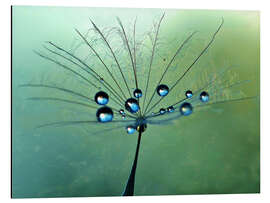 Magnettafel Tropfen auf Pusteblume art design