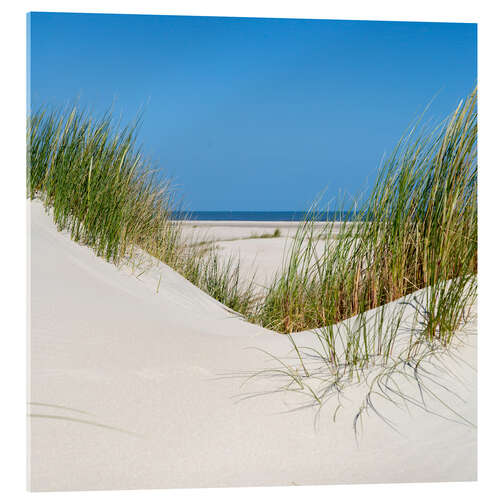 Acrylic print the coastline of the german sea on the island Norderney (Germany)