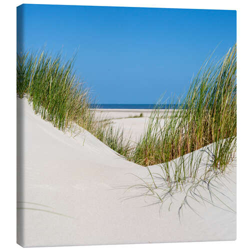 Canvas print the coastline of the german sea on the island Norderney (Germany)