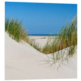 Foam board print the coastline of the german sea on the island Norderney (Germany)