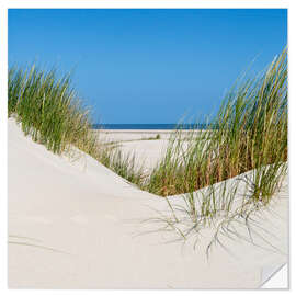 Naklejka na ścianę the coastline of the german sea on the island Norderney (Germany)