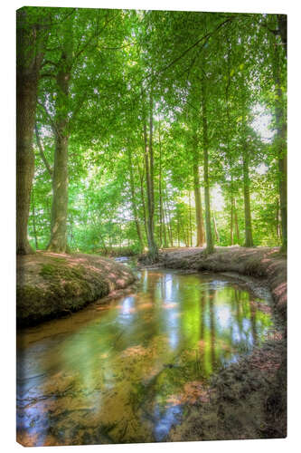 Canvas print Forest River