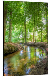 Magnettafel Bach im Wald