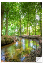 Naklejka na ścianę Forest River