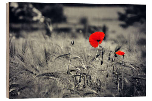 Wood print Red poppies in a cornfield