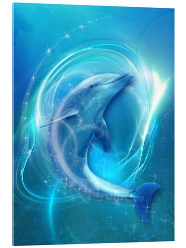 Acrylglas print Dolphin Energy