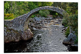 Aluminiumsbilde Scotland Carrbridge