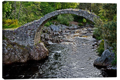 Canvas print Scotland Carrbridge