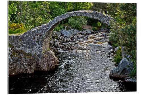 Gallery print Scotland Carrbridge