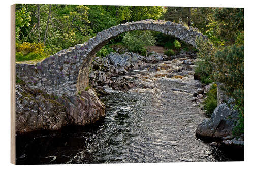 Holzbild Schottland Carrbridge