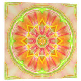 Quadro em acrílico Mandala - Success