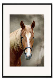 Gerahmter Kunstdruck Pferde