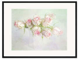 Gerahmter Kunstdruck pretty pink roses
