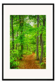 Gerahmter Kunstdruck Wege und Pfade V