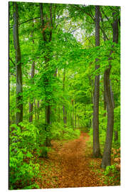 Magnettafel Wege und Pfade V