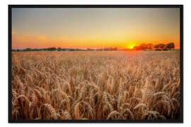 Gerahmter Kunstdruck kornfeld