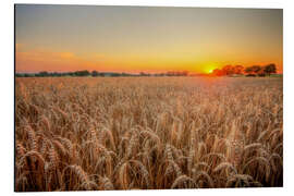 Magnettafel kornfeld