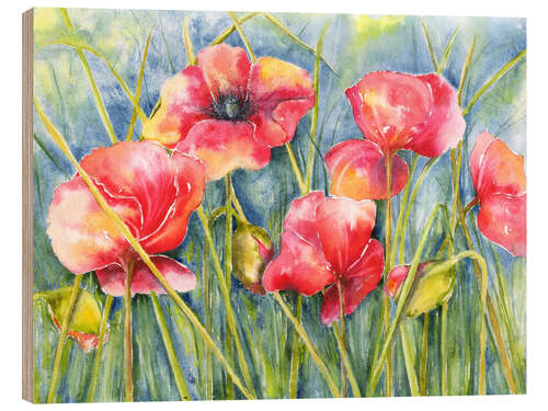 Trebilde Poppys