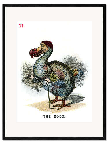 Framed art print The dodo