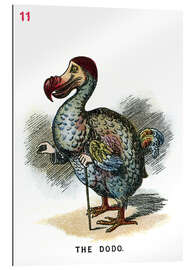 Gallery print The dodo