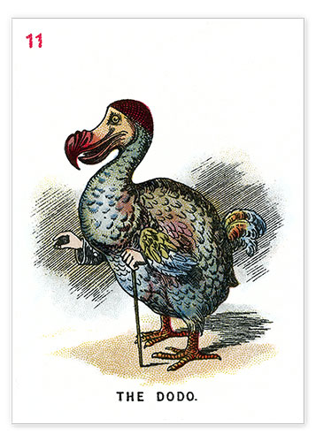 Poster The dodo