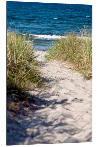 Tableau en aluminium Dune et plage de sable sur l'île de Rügen