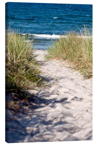 Canvas print White sand dune on the island of Rügen