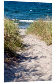 Foam board print White sand dune on the island of Rügen