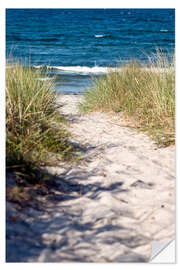 Naklejka na ścianę White sand dune on the island of Rügen