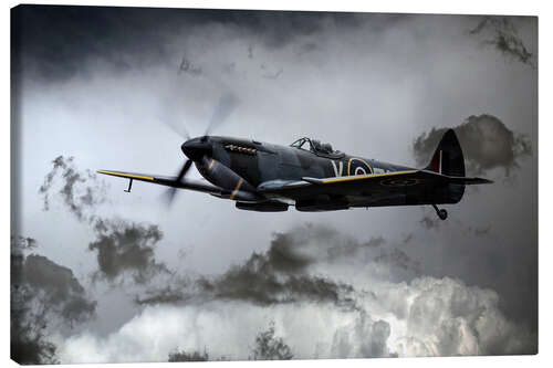 Canvas print Spitfire TE311