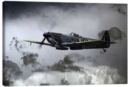 Canvas-taulu  Spitfire TE311 - airpowerart