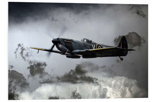 PVC print Spitfire TE311