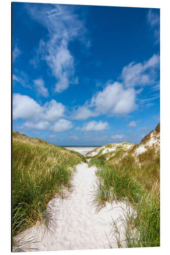 Aluminium print Path to the beach