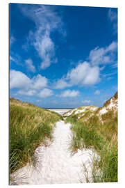 Gallery print Path to the beach